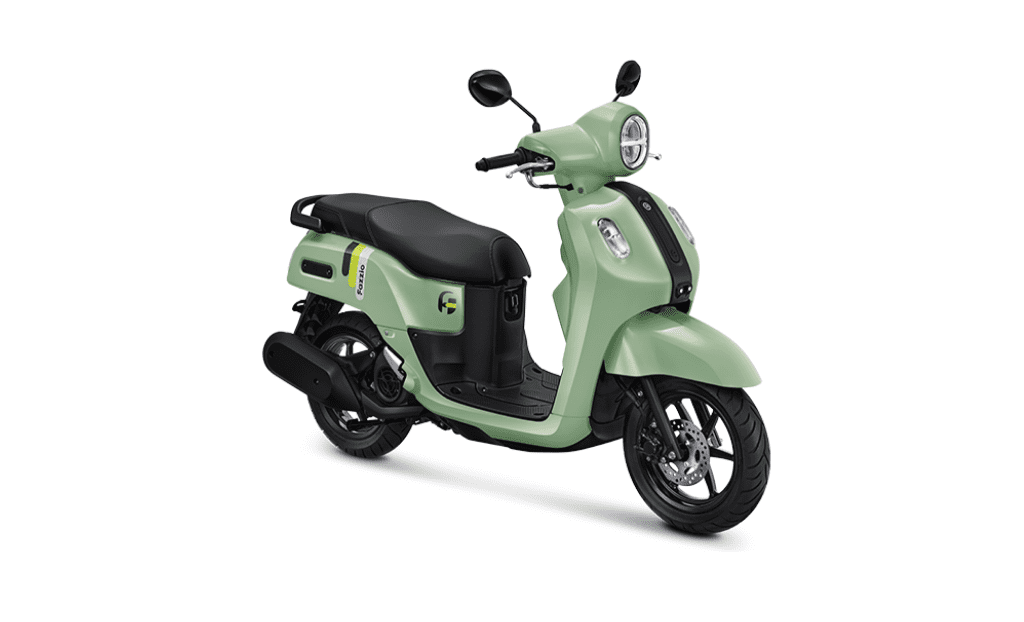 Fazzio Special Edition